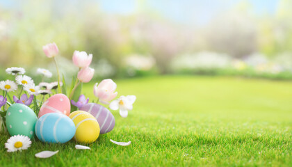 Fototapeta premium Easter eggs and spring flowers on lush green grass with copy space