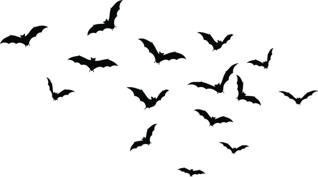 Flying bats silhouette, spooky night wildlife background, Halloween concept, dark sky bat swarm, mysterious nocturnal animals, horror nature scene
