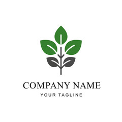 Green Leaf Logo Design Template Illustration.