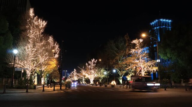 横浜ベイエリアのクリスマス・シーズンのイルミネーション　夜景と都市風景　タイムラプス
