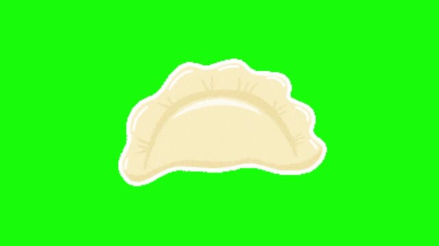 dumpling vector illustration on green background
