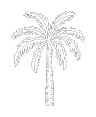 Obraz premium Simple black and white line of a palm tree