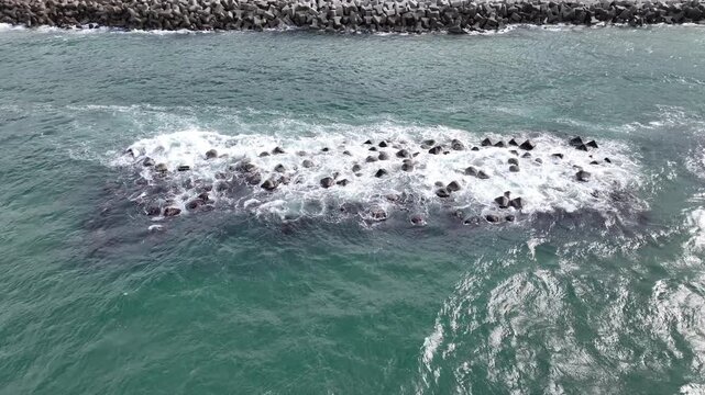 日本の富山湾沿岸で見つけた波に削られて水没しそうな離岸堤