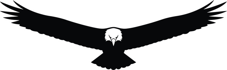 Flying eagle silhouette, majestic bird of prey with outstretched wings, powerful raptor