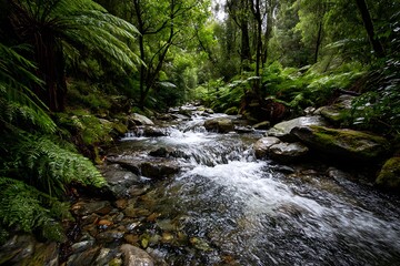 A fast-flowing stream cascading over smooth stones, creating natural foam patterns, framed by ferns and dense forest