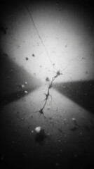 cracked abstract monochrome surface with intricate branching fissures illuminated by dramatic spotlight and floating particles