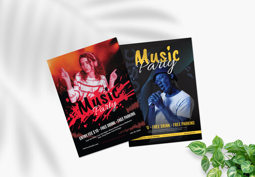 Modern Music Festival Party Flyer Layout