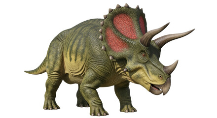 Isolated Triceratops dinosaur with horns and bony frill, prehistoric reptile, herbivore © Ophelia
