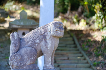 散歩の途中で見つけた春の風景