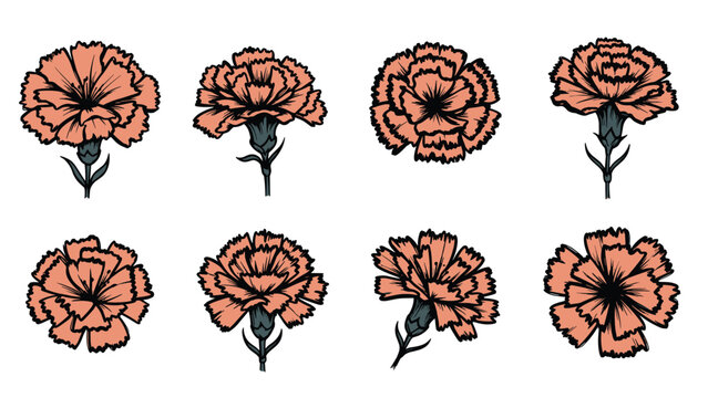 Exquisite collection of hand-drawn carnation flowers, rendered with delicate peach petals and bold black outlines, suitable for elegant floral and botanical illustrations.
