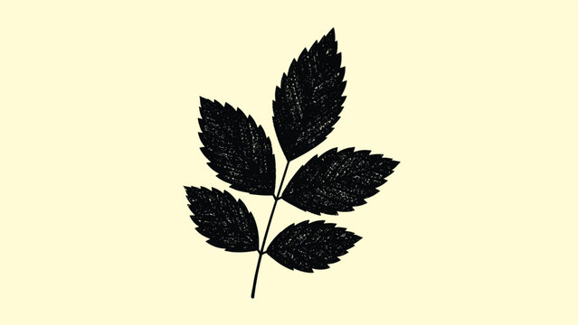 Elegant single black silhouette of a leafy branch with serrated edges, offering a versatile minimalist botanical element for clean and natural designs.