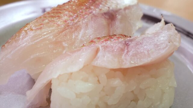 Fresh white fish nigiri sushi with skin-on snapper or sea bream on ceramic plate, Japanese traditional cuisine