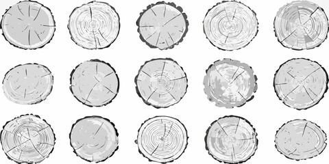 Arrangement of twelve grayscale illustrations depicting cross sections of tree trunks © MSTShikha