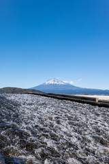 勢いの良い富士川の流れと快晴の富士山
