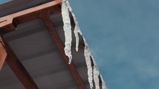 Clear icicles hang from a red metal roof, dripping melting water droplets against a blue sky. Concept represents the spring thaw and seasonal transition from winter.