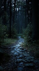 Fototapeta premium Winding Stone Path Through Dark Forest at Night.