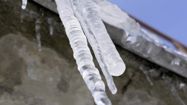 Melting icicles hang from a metal roof gutter against a clear blue sky. Water drops fall from sharp transparent ice tips. Concept highlights seasonal change from winter cold to spring thaw.