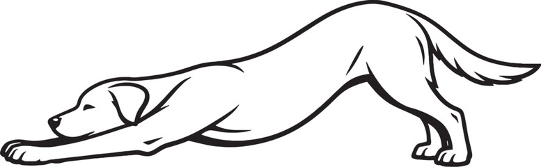Obraz premium Dog Stretching Forward Full Body Stretch Black and White Line Art Illustration