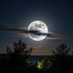Fototapeta premium Mystical Moonlit Night - A Serene Landscape with Trees and Clouds.
