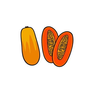 fresh papaya fruit that is still whole and has been cut open vector illustration