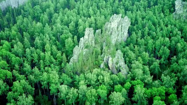 Bird's eye view of green forest and rocks.