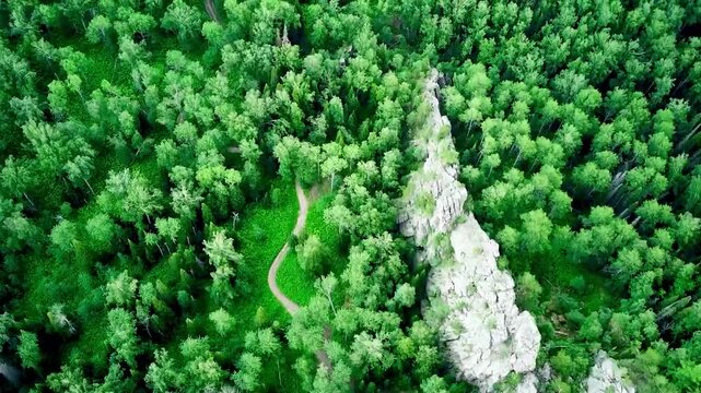 Bird's eye view on mixed green forest and rocks from mountain during summer day. Aerial view of a through deep forest. Bird eye view of a Green Forest road. Drone shot.