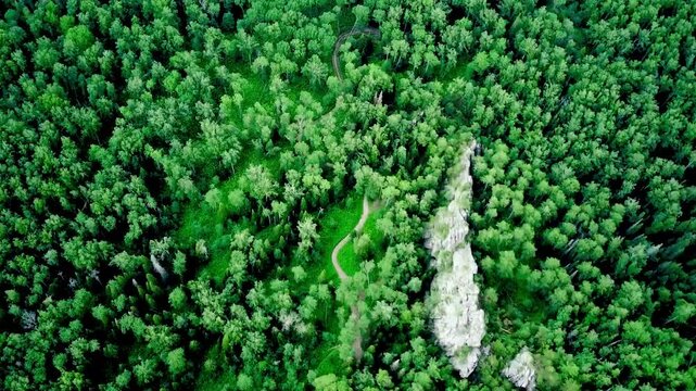 Bird's eye view of green forest and rocks.