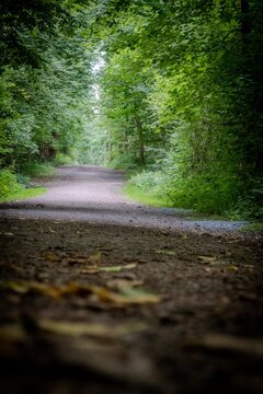Hamburg, Germany, dirt road.