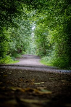 A dirt road in Hamburg, Germany, with a scenic outdoor landscape.
