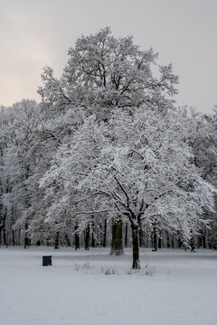 Capture the serene beauty of Hamburg's winter landscape with this stunning stock photo.