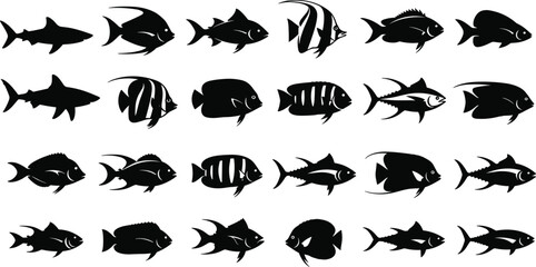 Large collection of black fish silhouettes including sharks tropical reef fish and tuna species isolated on white background vector illustration © MD