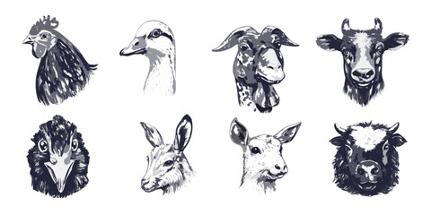 Obraz premium Illustrative collection of farm animal head portraits in grayscale tones