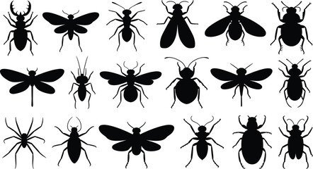 Set of insect silhouettes featuring beetle butterfly spider fly bee dragonfly and ant icons for nature wildlife biology and entomology © MD