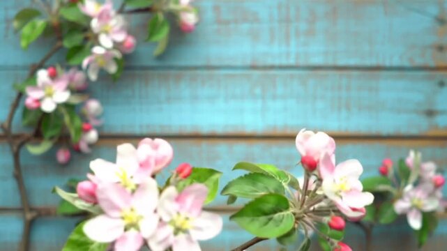 Delicate spring blossoms adorn a rustic blue wooden background with copy space.