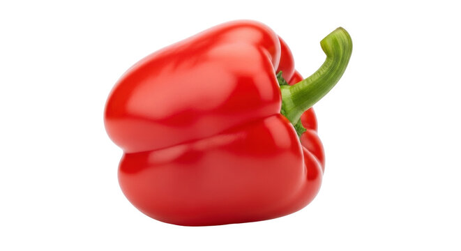 Isolated fresh organic red bell pepper with a green stem for food photography and commercial use