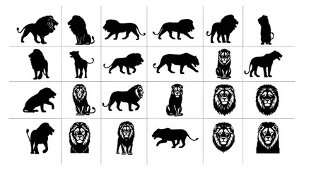 Fototapeta premium Collection of black lion silhouettes and headshots on white background various poses and expressions