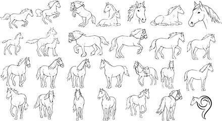 Collection of Various Horse Line Art Drawings, Sketches, and Illustrations in Diverse Poses and Styles, Ideal for Coloring Books or Design Projects