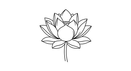 Simple Line Drawing of a Lotus Flower 1.