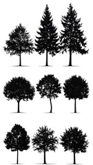 Fototapeta premium A set of nine black tree silhouettes on a white background