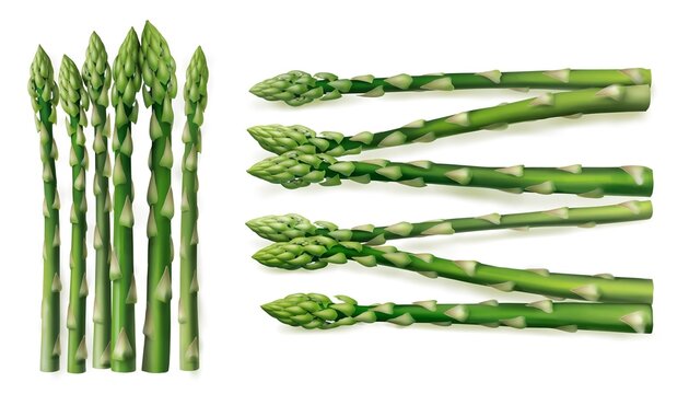 Fresh green asparagus spears on white backdrop; healthy eating and natural ingredient