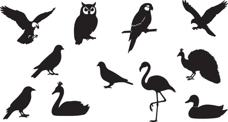 Obraz premium Isolated Black Vector Bird Silhouettes Set. Collection of Various Species Icons. isolated PNG with Transparent Background