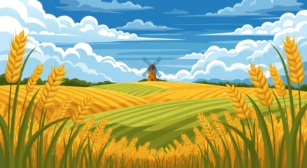 Fototapete Bauernhof Golden Wheat Field Landscape with Windmill A Vibrant Vector Illustration of a Rural Scene Under a Cloudy Blue Sky  © Purnomo Semlirick