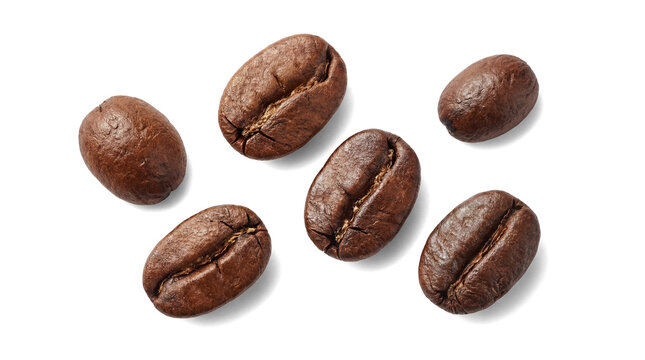 Photograph of six rich, dark roasted coffee beans, scattered with soft shadows, isolated on a transparent background.