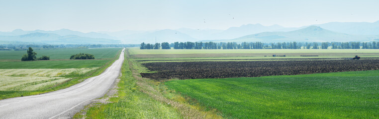 Countryside view with road, panorama of spring meadows and fields, spring greenery © Valerii