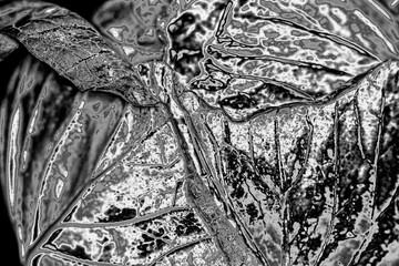 静寂のフラクタル