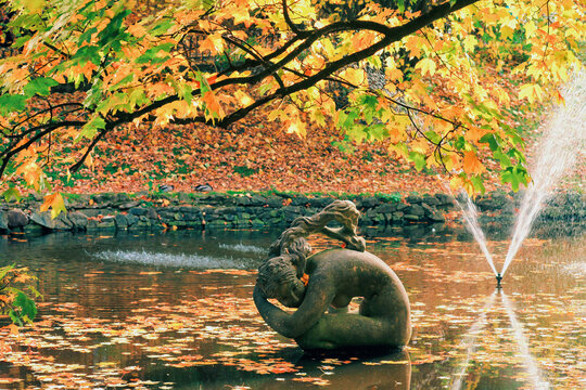 Fountain and "Lileya" sculpture on Swan lake in autumn Stryisky Park in Lviv, Ukraine