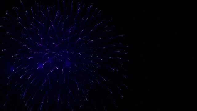Purple fireworks burst in the night sky creating a vibrant and festive celebration scene.