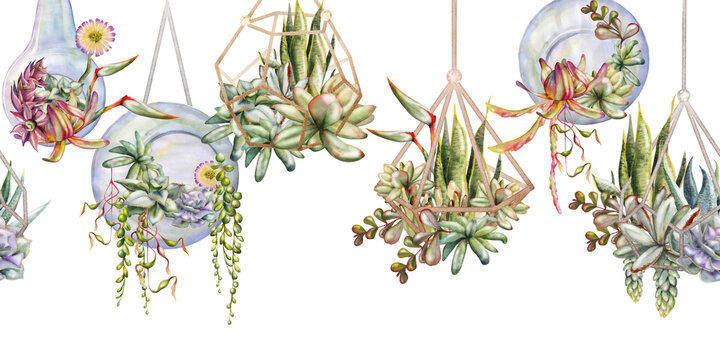 Watercolor rosette succulents in geometric wire planters, glass orb bubbles and bulbs, hanging gardens hand drawn in watercolor. Seamless botanical banner for design agencies, modern lifestyle blogs.