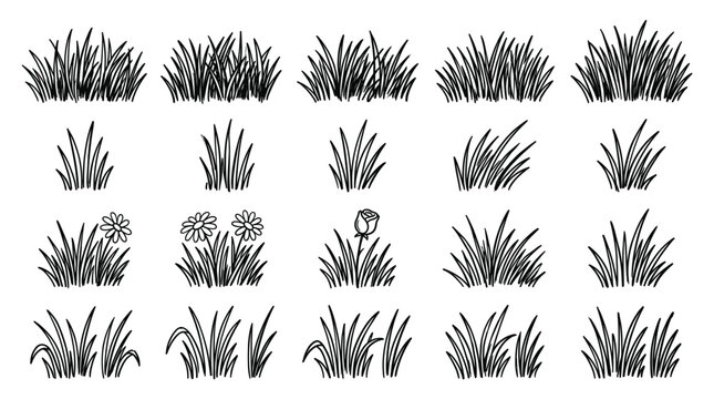 Botanical grass and flower elements collection, whimsical sketch, tall blades, tufts, daisies, roses, and sprigs