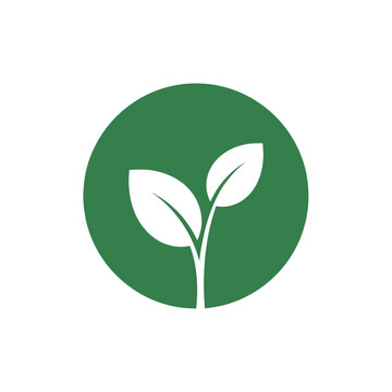 Green circle with white plant sprout and two leaves